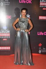 Mugdha Godse at Life Ok Screen Awards red carpet in Mumbai on 14th Jan 2015